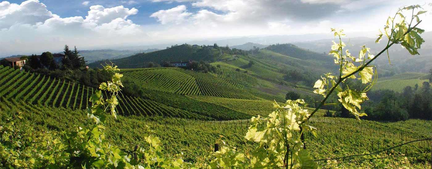 Wine Tour nel Chianti in Mezza giornata