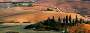 Happy in Tuscany - Chianti
