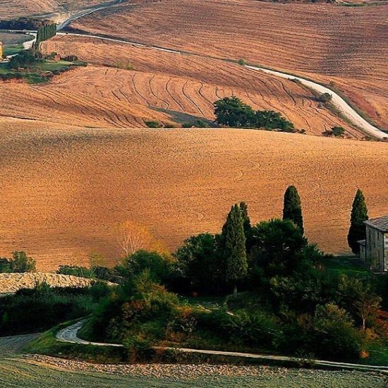 Happy in Tuscany - Chianti